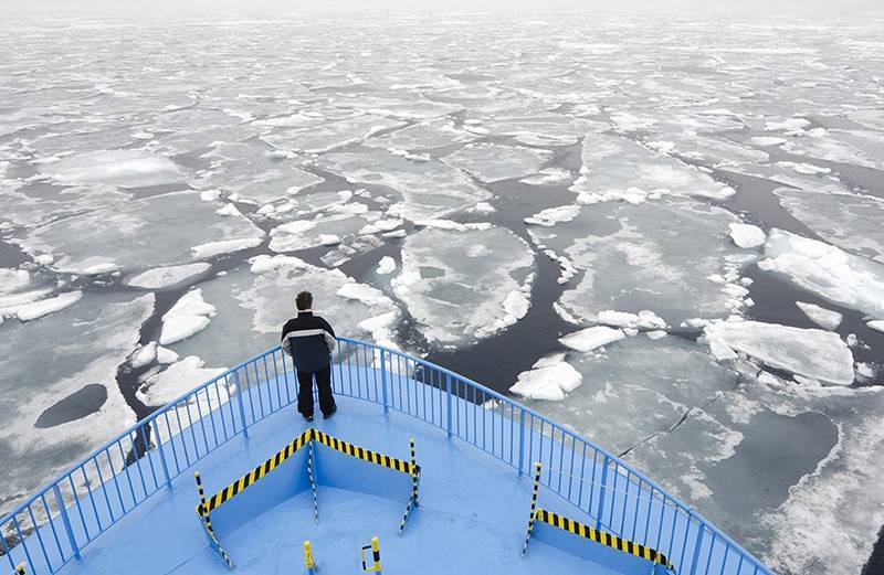 Российские ученые совершили громкое научное открытие в Арктике
