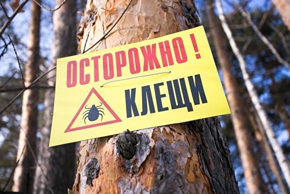 В этом году на Среднем Урале зафиксирован случай летального исхода от клещевого энцефалита