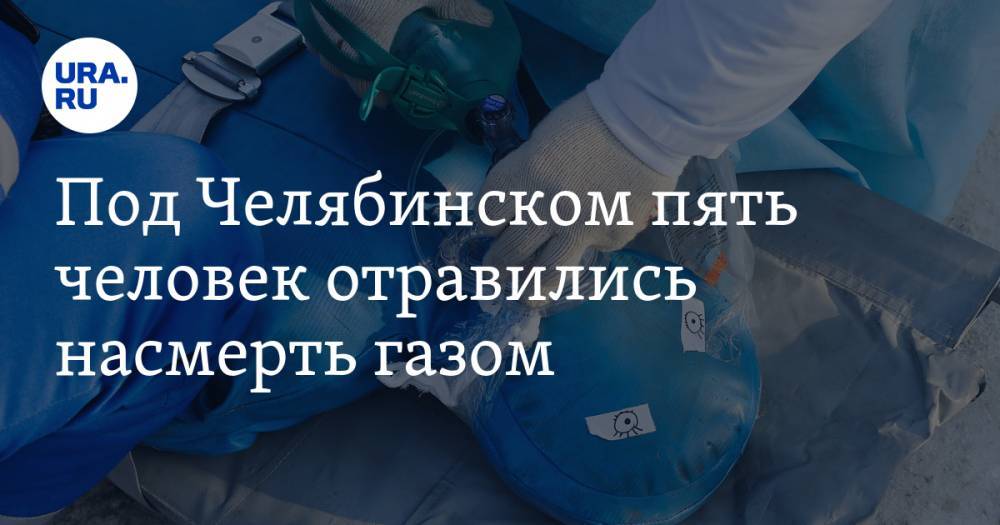 Под Челябинском пять человек отравились насмерть газом