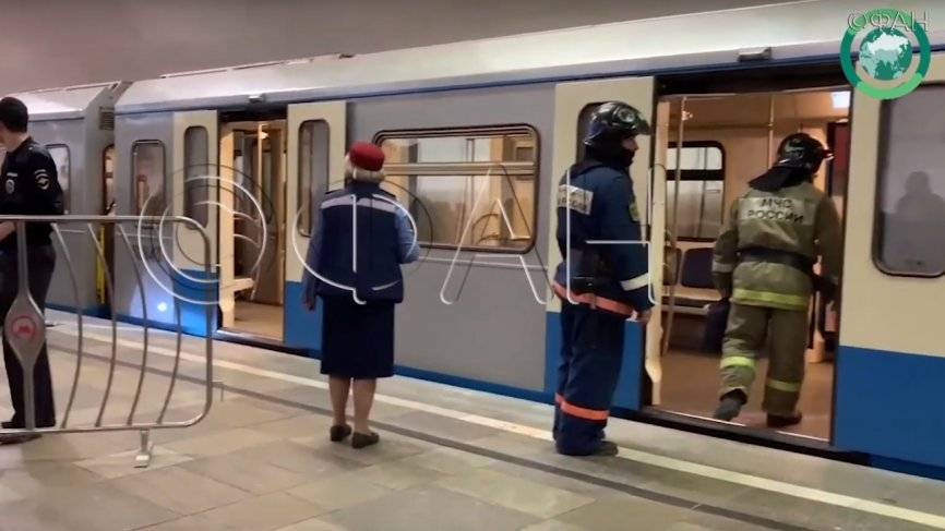Женщина погибла под поездом на станции столичного метро «Отрадное»