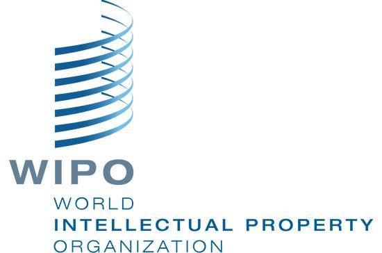 Всемирная организация интеллектуальной собственности получит привилегии в РФ