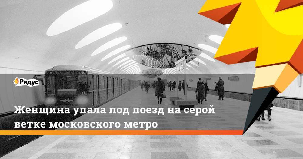 На серой ветке московского метро женщина упала под поезд