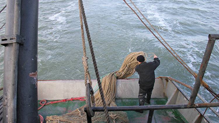 В меджлисе* хотят сорвать соглашение с РФ о вылове рыбы в Азовском море