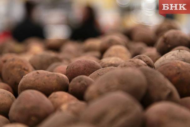 В Коми остановили 60 тонн некачественного белорусского картофеля
