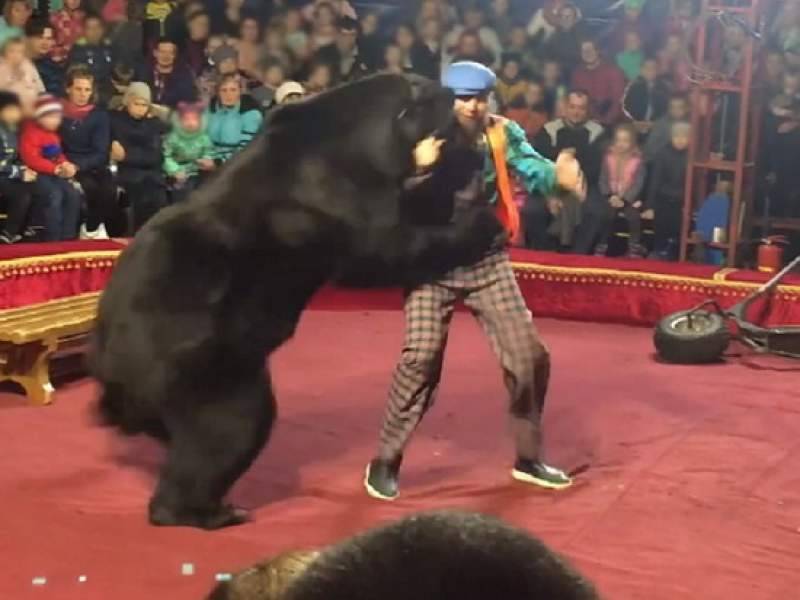 Видео нападения медведя на дрессировщика в Карелии попало в Сеть