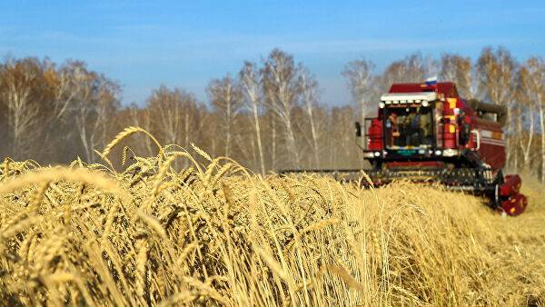 Ливия купит у России миллион тонн пшеницы