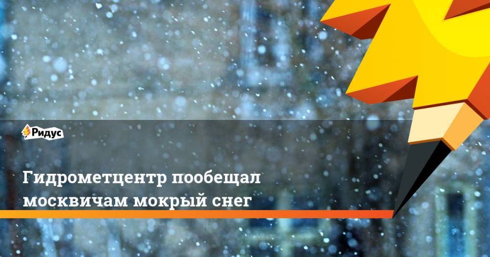Гидрометцентр пообещал москвичам мокрый снег