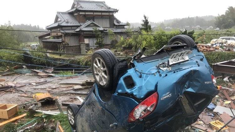 Ущерб сельского хозяйства Японии от тайфуна «Хагибис» превысил 902 миллиона долларов