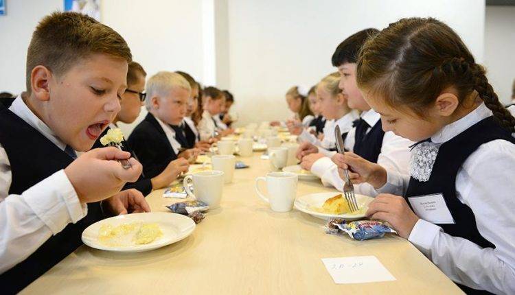 Госдума одобрила законопроект о качественном питании в школах
