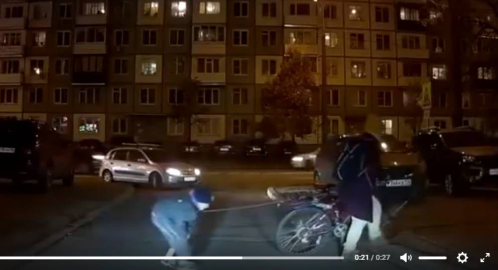 В Петербурге водитель заметил женщину с ребенком «на поводке»