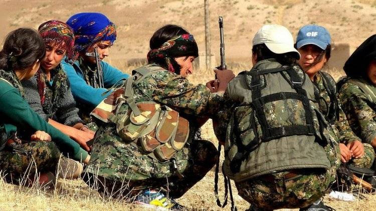 Курды-террористы вынуждены отказаться от планов по расчленению Сирии, заявил эксперт
