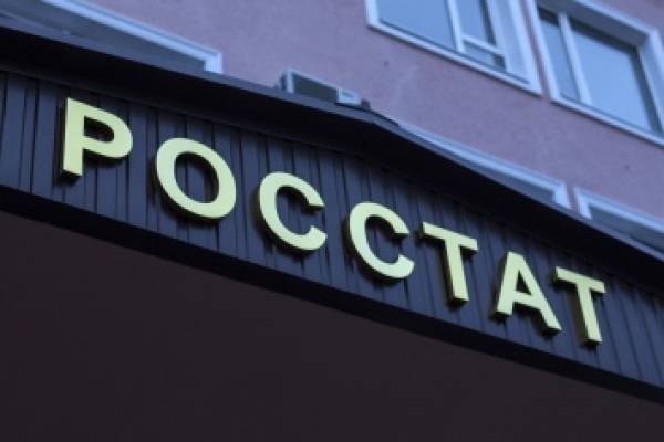 Росстат прокомментировал нехватку денег у россиян на еду и одежду