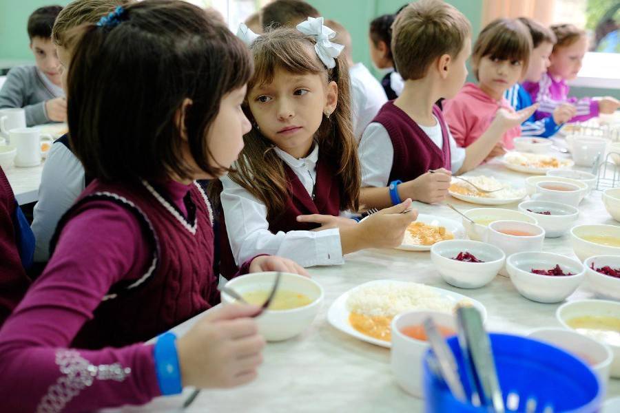 Госдума приняла законопроект о горячем питании в школах