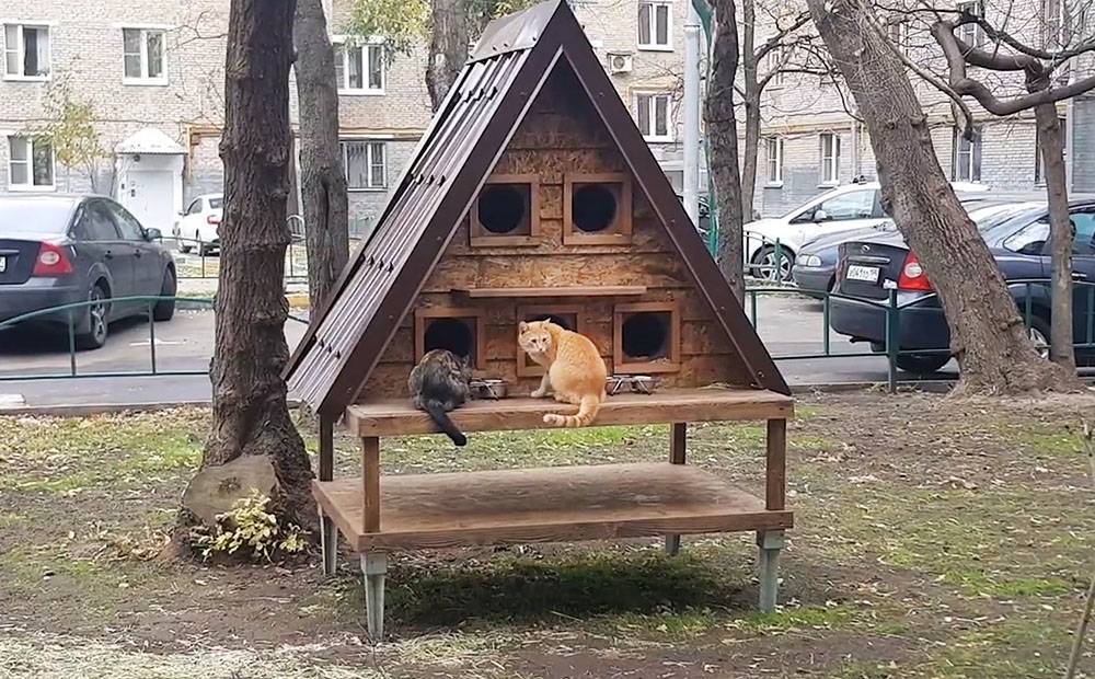 "Дом нужен всем!" Коты обзавелись собственным жильем на севере Москвы