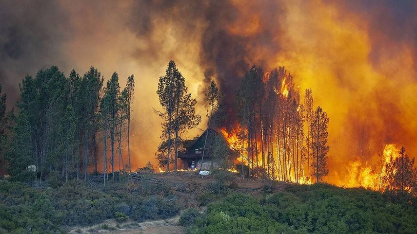 В Калифорнии пылают леса, пламя усиливает северный ветер (Видео)