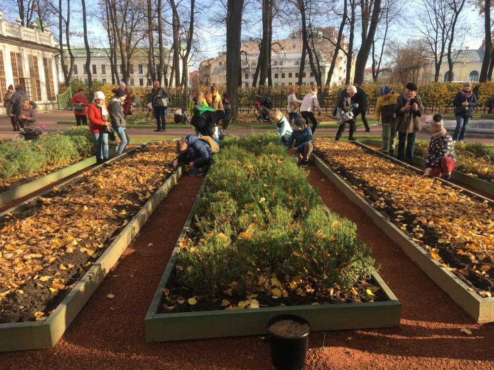 Петербургские школьники высадили четыре тысячи луковиц тюльпанов в Летнем саду