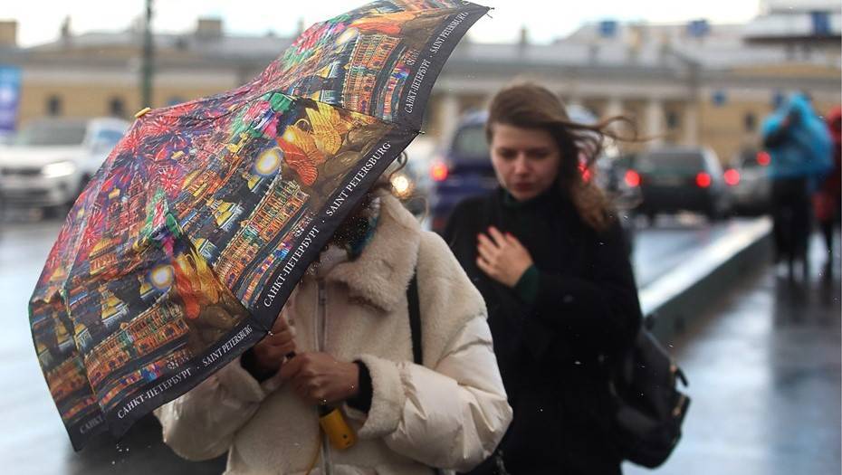 МЧС предупредило петербуржцев о штормовом ветре в субботу