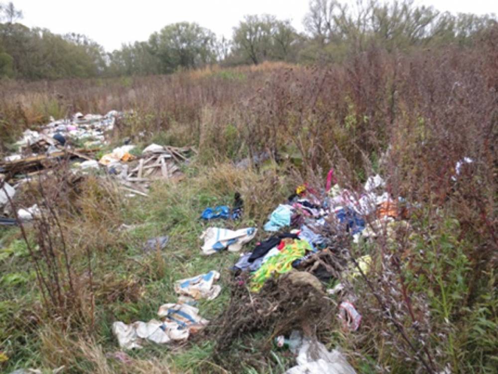 Россельхознадзор Вологодской области обязал собственника убрать мусор с участка