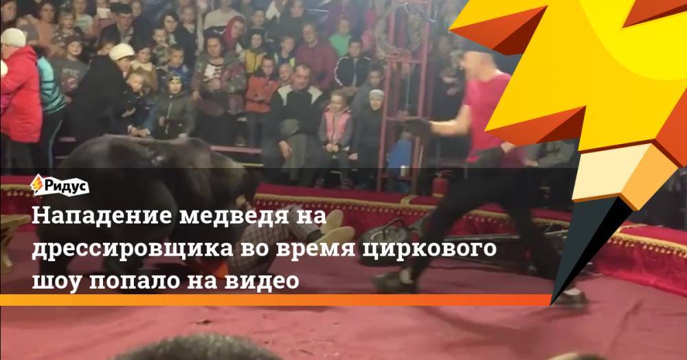 Нападения медведя на дрессировщика во время циркового шоу попало на видео