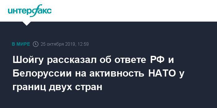 Шойгу рассказал об ответе РФ и Белоруссии на активность НАТО у границ двух стран