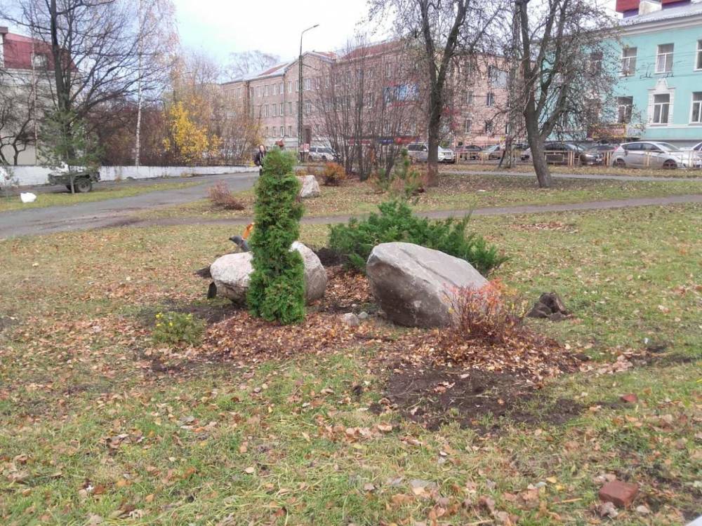Петрозаводскую зеленую зону украсили деревья и кустарники