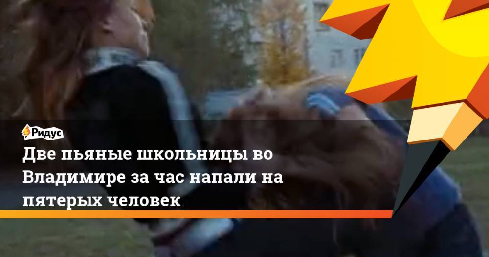 Две пьяные школьницы во Владимире за час напали на пять человек