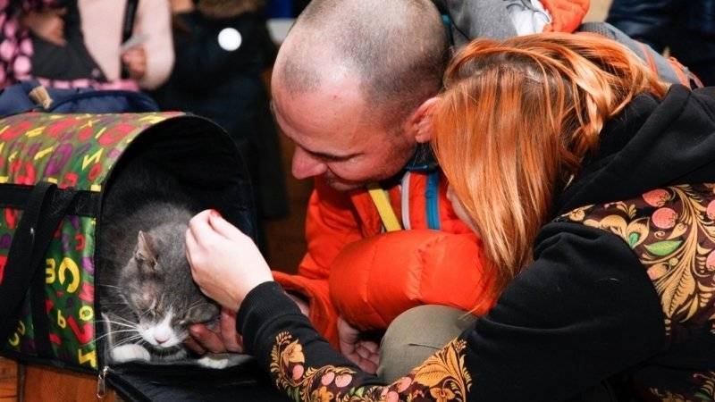 Фестиваль по пристройству животных из приюта пройдет в Москве