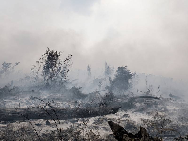 МЧС сообщило о шести очагах природных пожаров в России