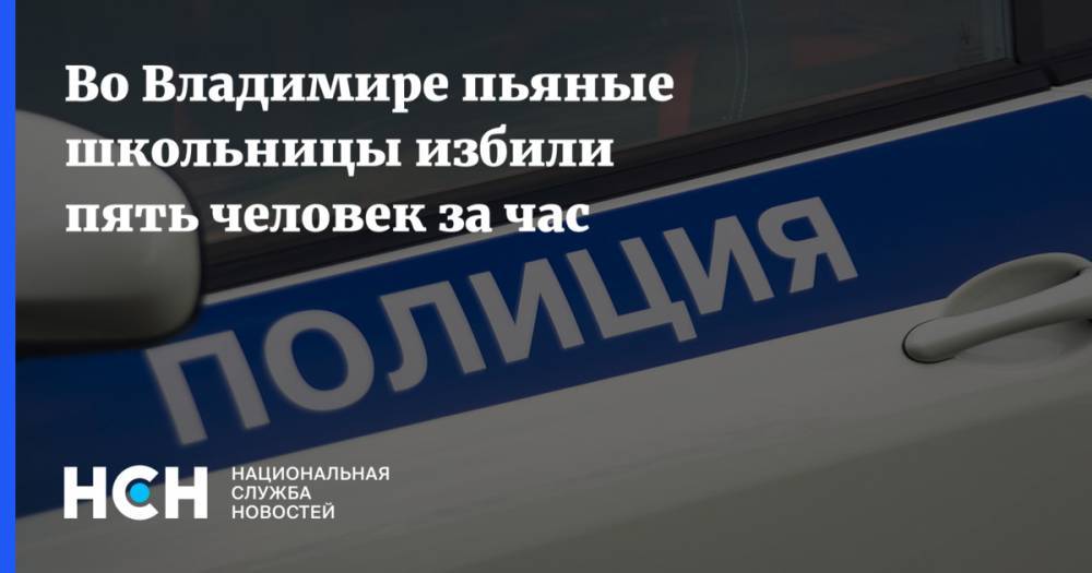 Во Владимире пьяные школьницы избили пять человек за час