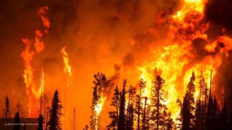 Губернатор Калифорнии объявил о введении режима ЧП из-за пожаров в округах Лос-Анджелеса