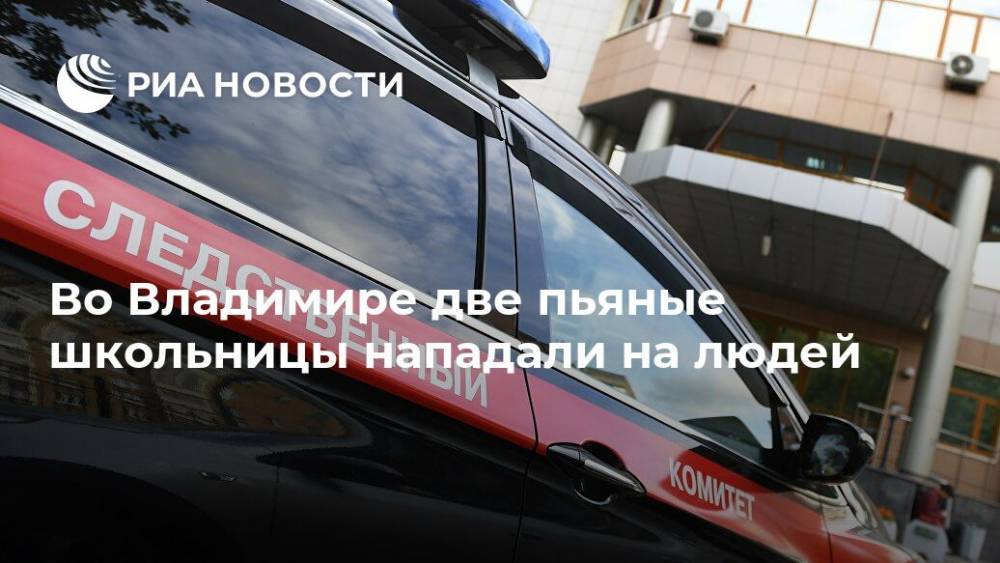 Во Владимире две пьяные школьницы нападали на людей