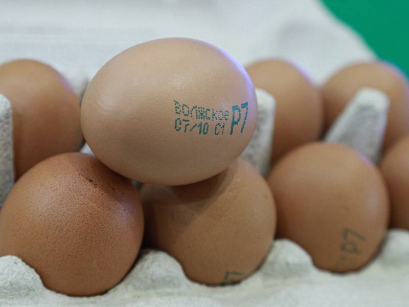 Саудовская Аравия разрешила ввозить яйца из России