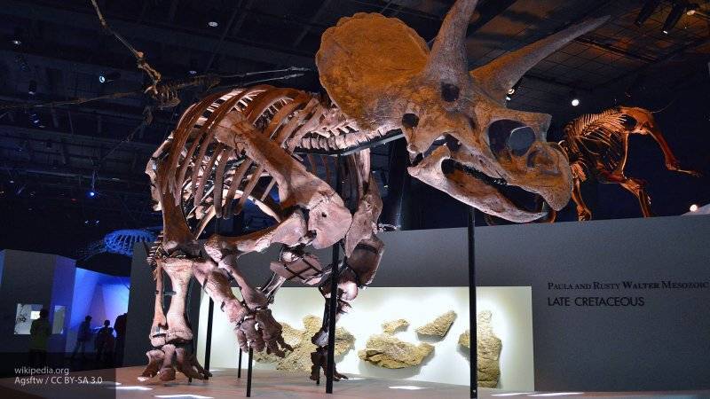 Ученые рассказали о захвате Земли млекопитающими после гибели динозавров