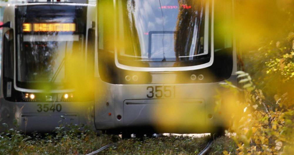 В Мосгортрансе опровергли информацию о наезде трамвая на пешехода в районе Сокол