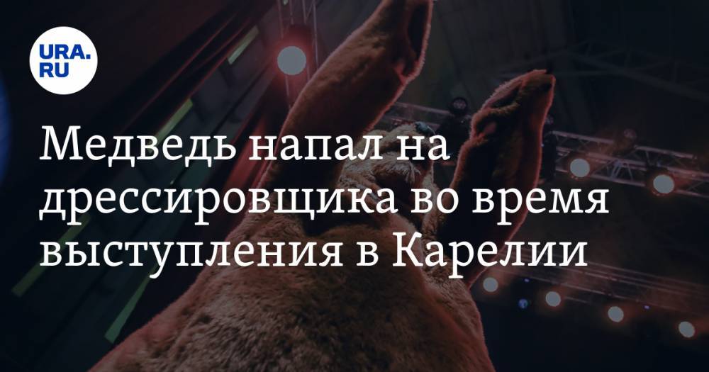 Медведь напал на дрессировщика во время выступления в Карелии. ВИДЕО
