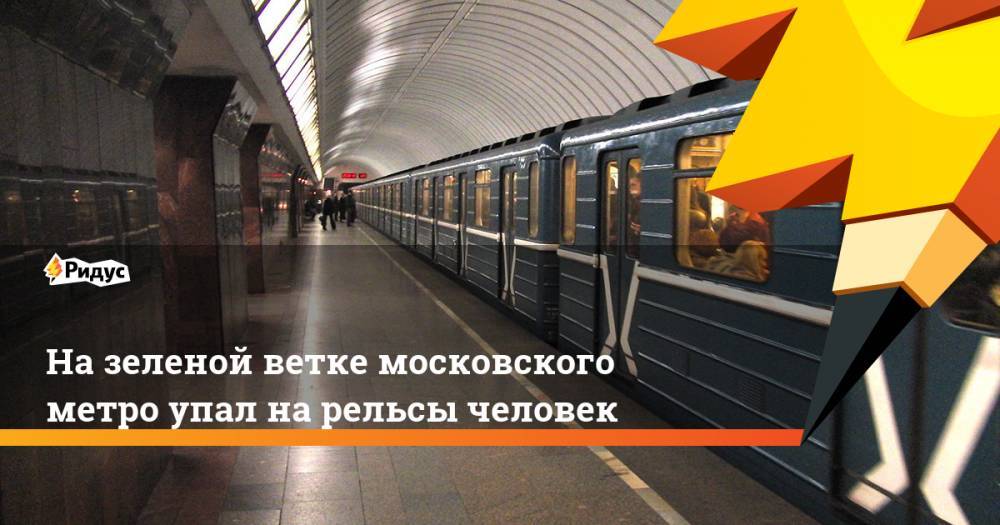 На «зеленой» ветке московского метро упал на&nbsp;рельсы человек