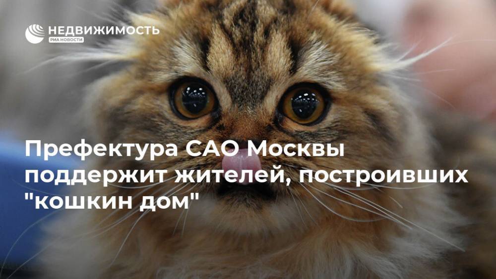 Префектура САО Москвы поддержит жителей, построивших "кошкин дом"