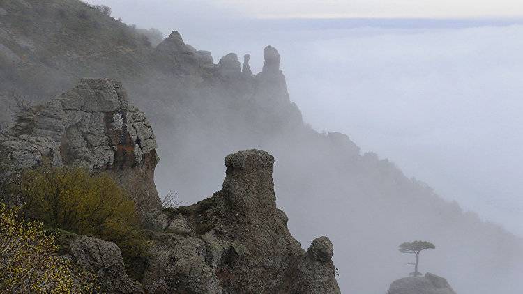 Крым в тумане: синоптики рассказали о погоде в воскресенье