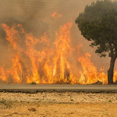 50 тысяч калифорнийцев должны покинуть свои дома из-за угрозы пожаров