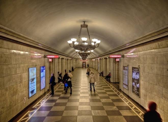 Летучая мышь поселилась на станции метро «Владимирская» в Петербурге