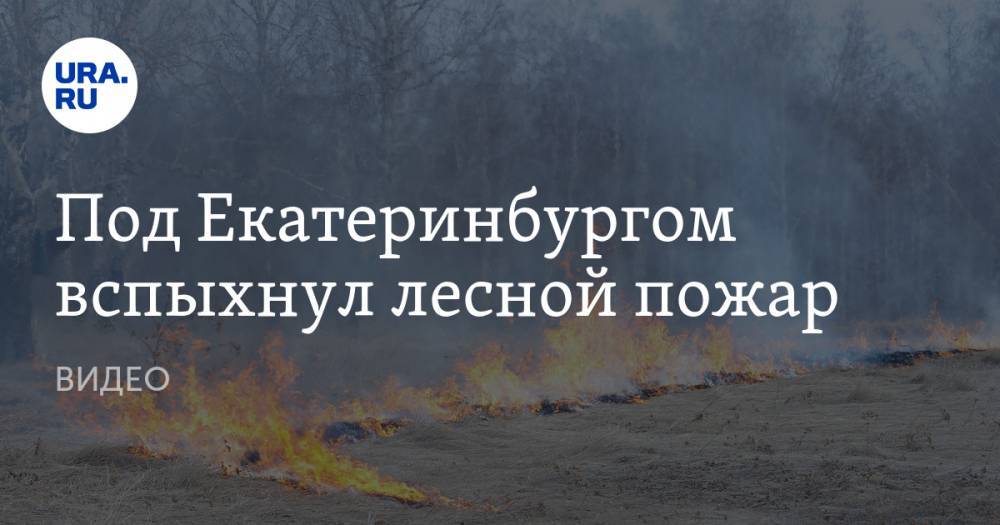 Под Екатеринбургом вспыхнул лесной пожар. ВИДЕО