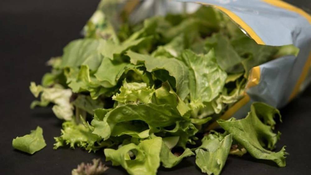 Дискаунтеры снимают с продажи готовые салаты из-за опасности заражения листериями