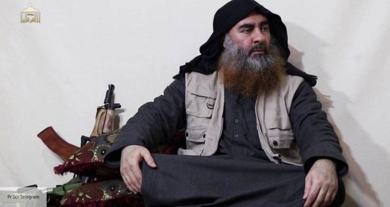 Ветеран «Альфы» не доверяет слухам о «ликвидации» главаря ИГИЛ