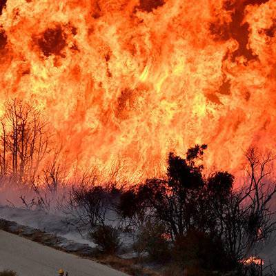 Губернатор штата Калифорнии объявил режим ЧП в округах Лос-Анджелес и Сонома из-за пожаров