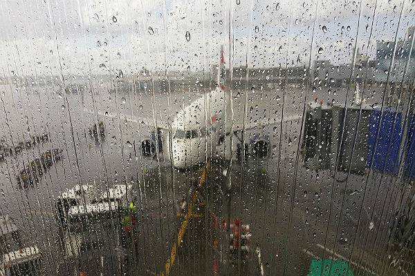 В московских аэропортах отменены или перенесены более 40 рейсов