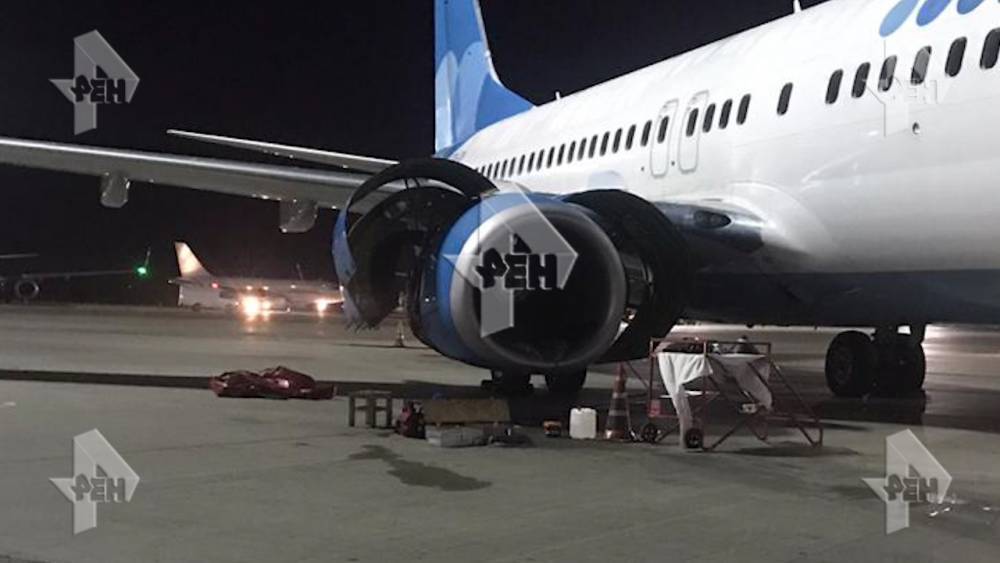 Фото: птица попала в двигатель самолета во Внуково