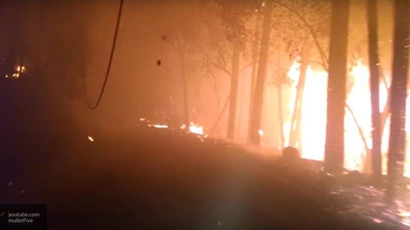 Власти Калифорнии заявили об эвакуации 180 тысяч человек из-за лесных пожаров