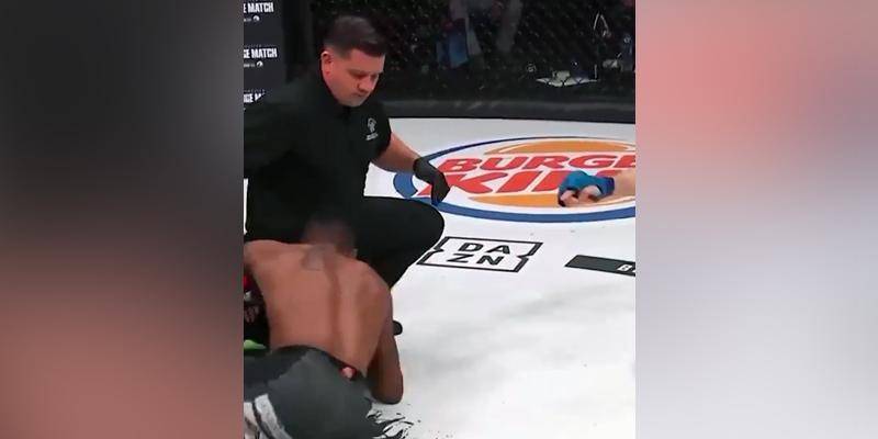 Проигравший боец MMA атаковал судью