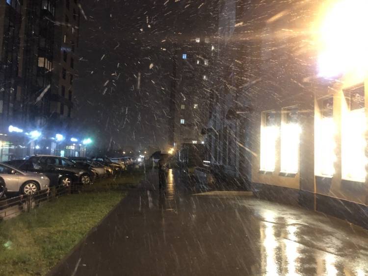 Жители Петербурга делятся фотографиями осеннего снегопада