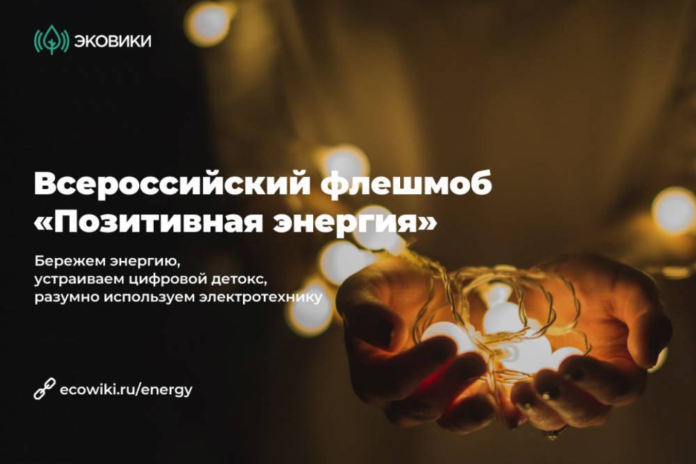 Жителей Петербурга и Ленобласти научат экономить энергию позитивно